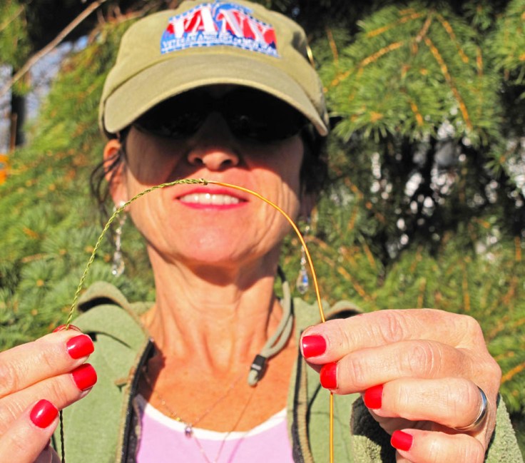 T13 136 Parabolic Test s